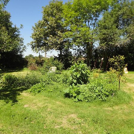 Tranquille Vienne Gites A Chirac Dept Charente Exterior photo